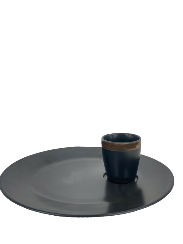 Assiette avec insert 26CM - Pillivuyt REF : B210/49