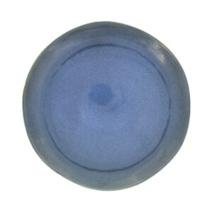 Assiette Plate émail réactif 28cm Réf : TZ4054