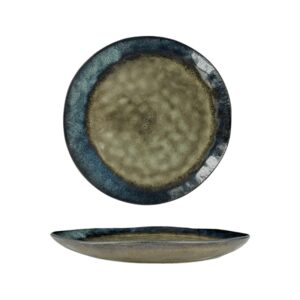 Assiette plate émail réactif 28cm Réf : TZ3546