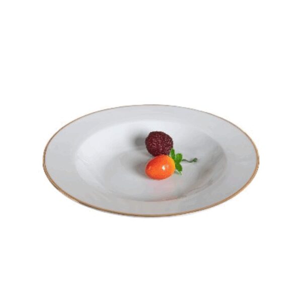 Assiette creuse aile filet or 21,5 cm REF : 003B-SP2