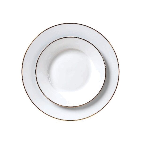 Assiette plate aile filet or 27 cm REF : 003B-D2