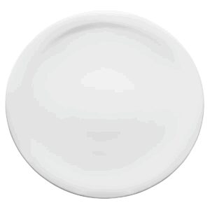 Assiette plate 27 cm REF : SD-247