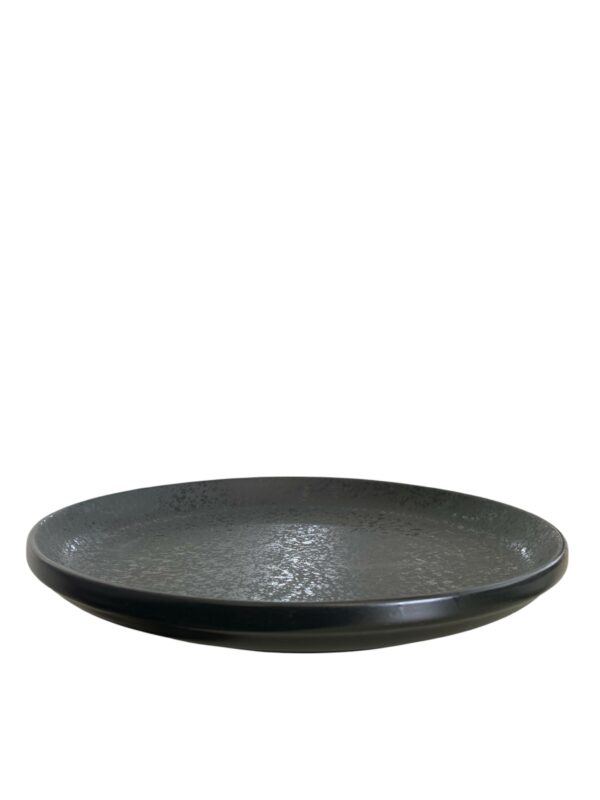Assiette plate bord relevé 25.5 cm REF : 154940
