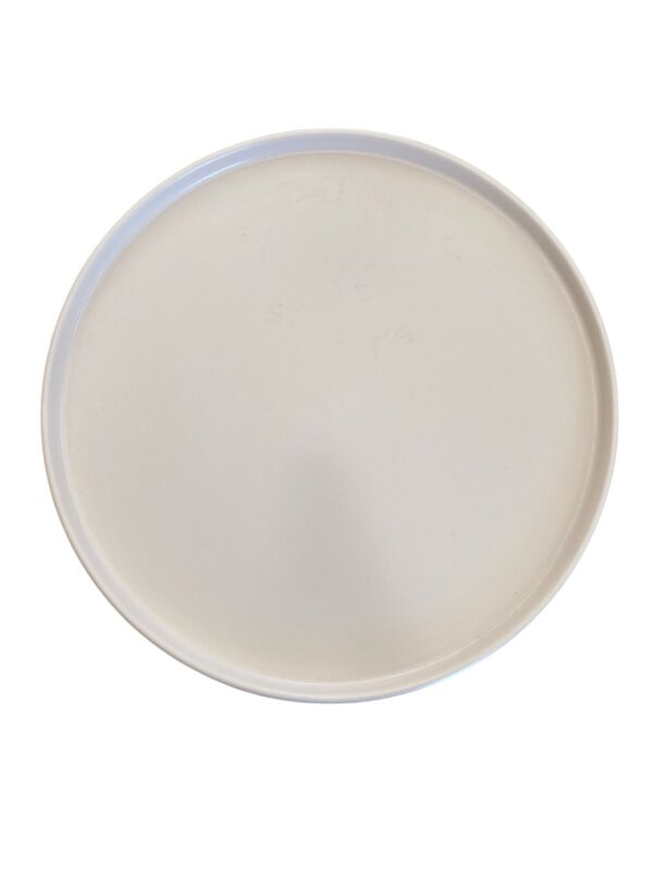 Assiette plate bords haut 28 cm REF : 54720