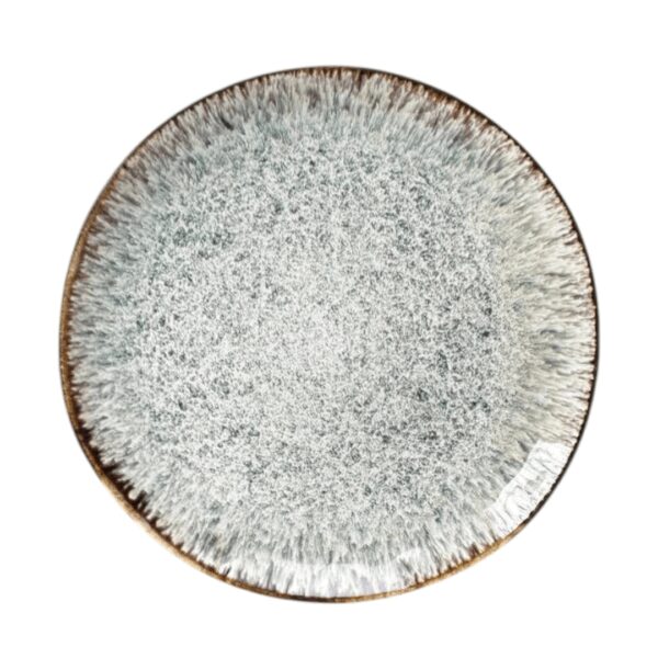 Assiette ronde plate réactif 26cm REF : p01244