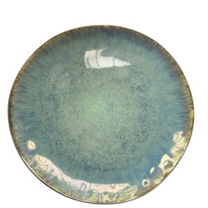 Assiette Plate émail réactif 27,5 cm Réf : P00100
