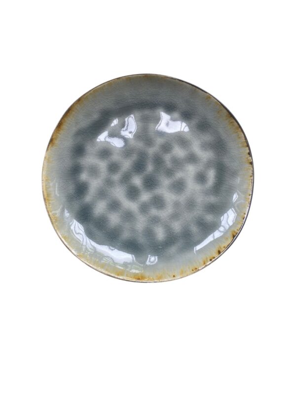 Assiette Plate émail réactif 27,5 cm Réf : P00149