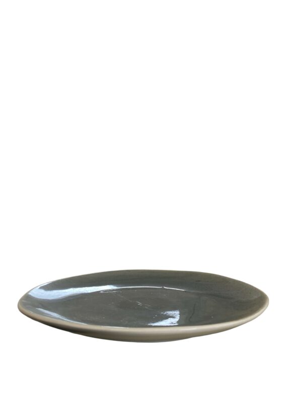 Assiette plate réactive 28 cm REF: P00803