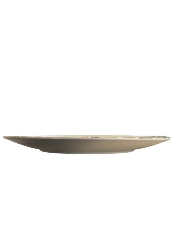 Assiette plate 26 cm REF : 74822