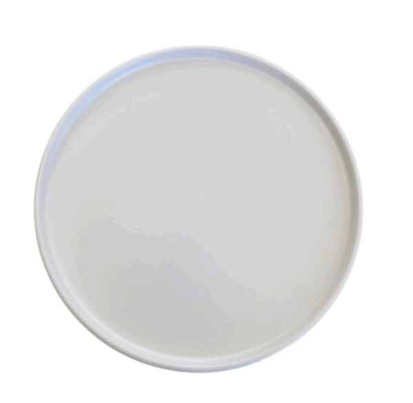 Assiette plate bords haut 28 cm REF : 594PL