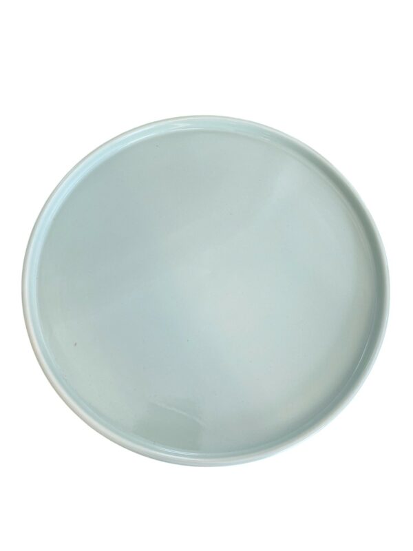 Assiette plate bords haut 28 cm REF : 307PL