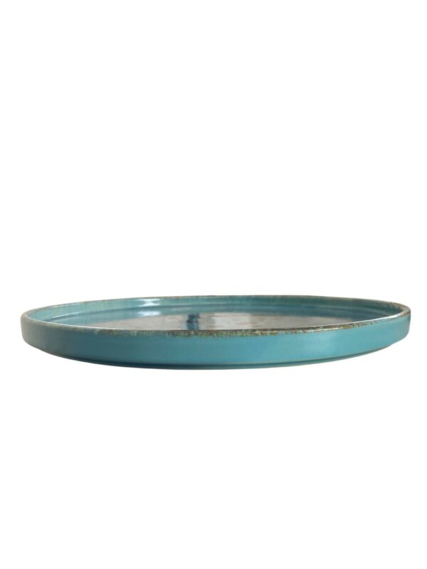 Assiette plate bord haut bleu réactif 27,5 cm REF: 75904