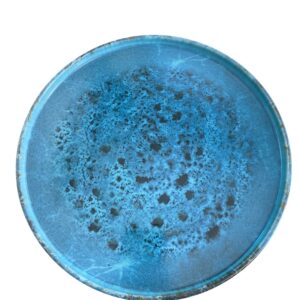 Assiette plate bord haut bleu réactif 27,5 cm REF: 75904