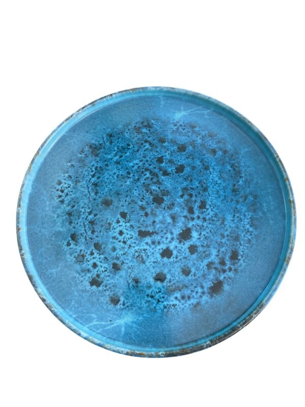 Assiette plate bord haut bleu réactif 27,5 cm REF: 75904