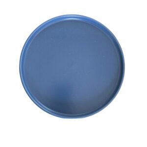 Assiette dessert bord haut bleu 22 cm REF : 47906