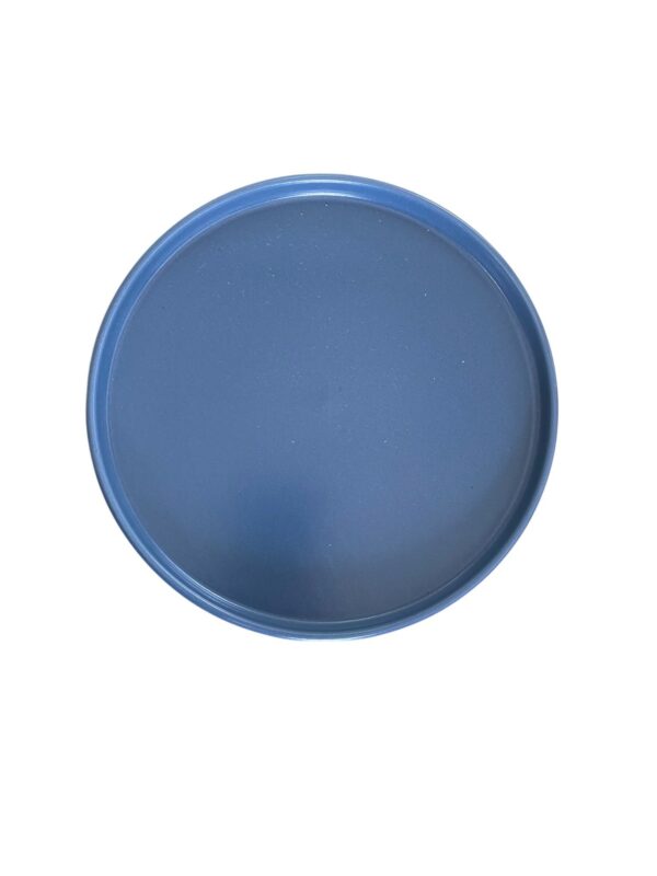 Assiette dessert bord haut bleu 22 cm REF : 47906